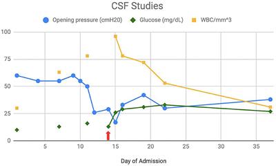 Case Report: Paradoxical Inflammatory Response Syndrome in a Previously Healthy, HIV-Negative, Pediatric Patient With Cryptococcus gatii Meningitis